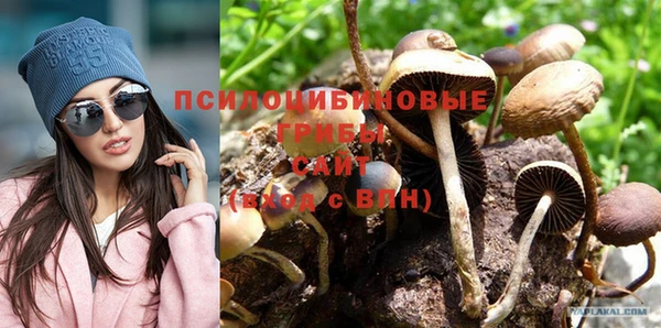 сатива Алзамай