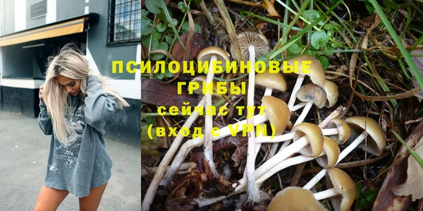 дмт Алексеевка