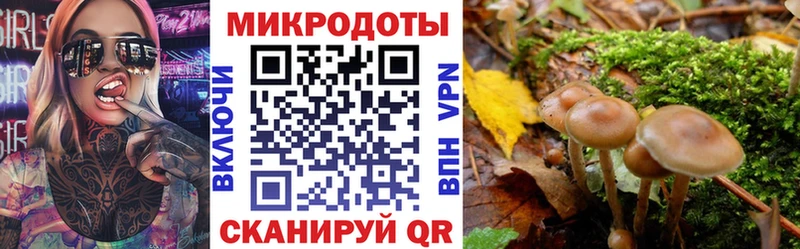Псилоцибиновые грибы прущие грибы  закладки  Приозерск 